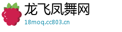 龙飞凤舞网